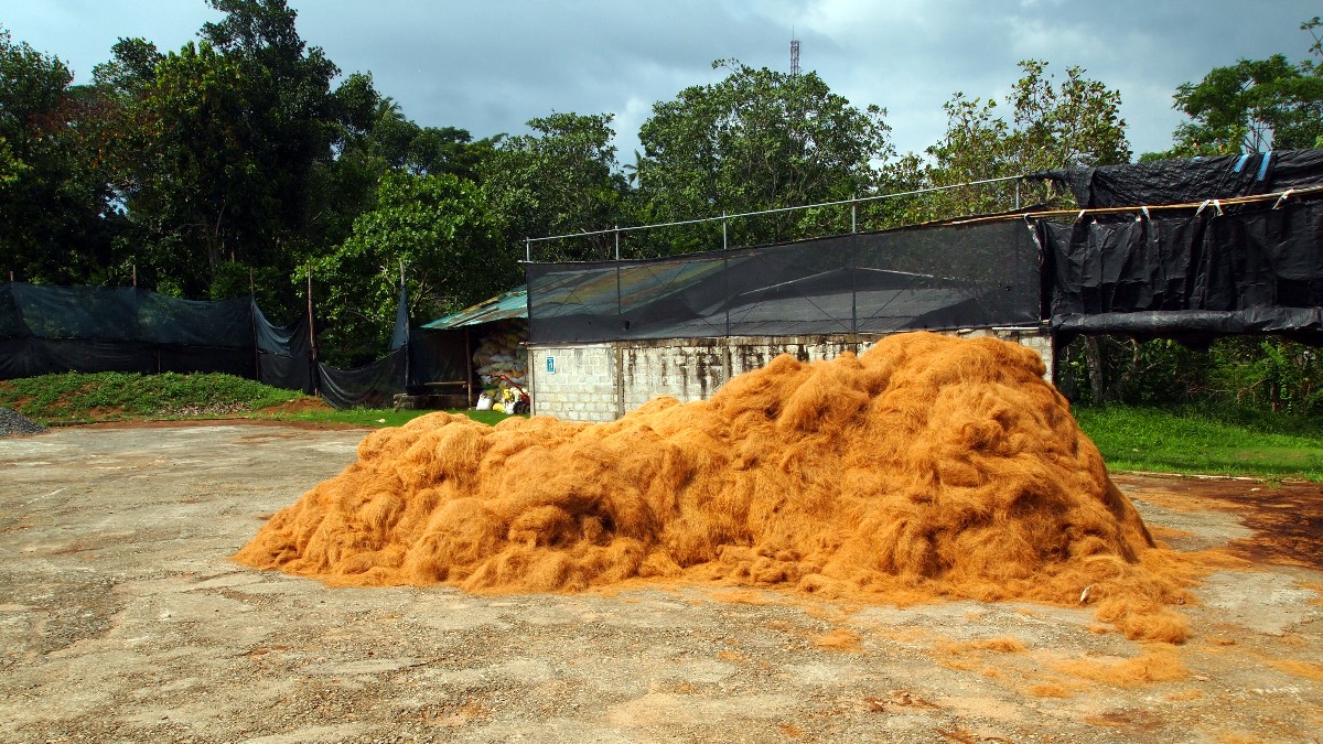 how-to-start-your-own-coir-compost-coir