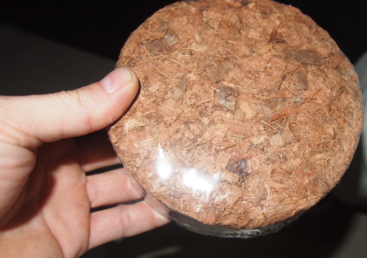 Tips for Using Coconut Coir Mulch